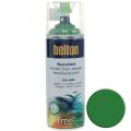 Floristik24 Belton free tinta à base de água spray de cor de alto brilho 400ml