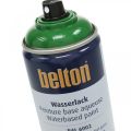 Floristik24 Belton free tinta à base de água spray de cor de alto brilho 400ml