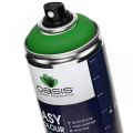 Floristik24 Easy Color Spray, spray de tinta verde, decoração de primavera 400ml