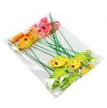 Floristik24 Flor plug regador colorido plug de jardim decoração de primavera 16 peças