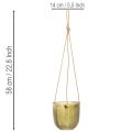 Vaso de vidro para flores/lanterna suspensa, roxo/verde, 14 cm, 2 peças | Floristik24.pt