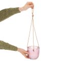 Vaso de vidro para flores/lanterna suspensa, roxo/verde, 14 cm, 2 peças | Floristik24.pt