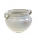 Floristik24 Floreira com pega cachepot vaso de cerâmica branco Ø10cm