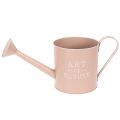 Vaso de flores/regador