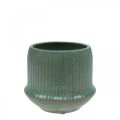 Floristik24 Vaso floreira de cerâmica sulcos verde Ø10cm A8.5cm
