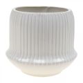 Floristik24 Floreira em cerâmica com ranhuras branca Ø14,5cm A12,5cm