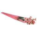 Floristik24 Saco de flores com corações rosa Para uma rosa 50 cm 50 unidades