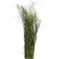 Floristik24 Arbusto decorativo de erva com ramos Tufo de erva seca 65×12cm