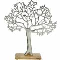 Floristik24 Árvore de metal, faia decorativa em uma base de madeira, decoração de metal prateado, árvore da vida, madeira de manga