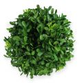 Floristik24 Bola de caixa Ø12cm decoração de plantas verdes artificiais