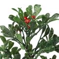 Floristik24 Ramo artificial inverno verde frutas vermelhas glitter geada 36 cm