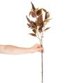Coleus artificial com folhas vermelhas, planta artificial, 20cm | Floristik24.pt