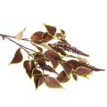 Coleus artificial com folhas