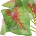 Floristik24 Planta artificial verde/rosa de seis folhas de caládio artificial como real!