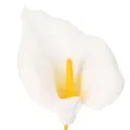 Copo-de-leite artificial com estames amarelos, flores decorativas, 35 cm, 10 peças | Floristik24.pt