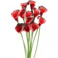 Floristik24 Flores artificiais de bordô vermelho Calla em um ramo 57cm 12pcs