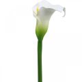 Floristik24 Decoração de casamento branca Calla artificial flor de seda aniversário L72cm