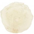 Floristik24 Conchas de Capiz Fatias de Capiz Fatias de madrepérola naturais 7,5–9,5cm 300g