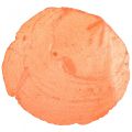 Floristik24 Cascas de Capiz Fatias de Capiz Fatias de madrepérola laranja 7,5–9,5cm 300g