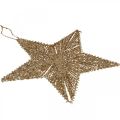 Floristik24 Decorações da árvore de Natal, decorações do Advento, pingente de estrela Dourado B25.5cm 4pcs