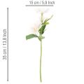 Buquê de rosas artificiais de Natal, 35 cm, 6 peças | Floristik24.pt
