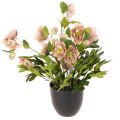 Floristik24 Planta artificial de heléboro em vaso, rosa de Natal, para decoração de casa, 50 cm