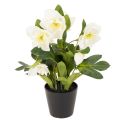 Floristik24 Rosa de Natal artificial, flor em vaso, decoração de mesa, 34 cm