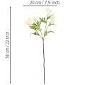 Arranjo de crisântemos artificiais, branco cremoso, galho decorativo, grande 56 cm, 4 peças | Floristik24.pt