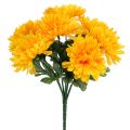 Floristik24 Crisântemo amarelo com 7 flores