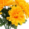Floristik24 Crisântemo amarelo com 7 flores