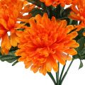 Floristik24 Laranja crisântemo com 7 flores
