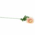 Floristik24 Ramo de flor de crisântemo rosa artificial 64cm