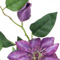 Floristik24 Clematis artificial, flor de seda, ramo decorativo com flores de clematis violeta C84cm