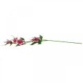 Floristik24 Ramo de clematis com 5 flores, flor artificial, ramo decorativo rosa, branco C84cm