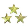 Floristik24 Decoração dispersa estrelas de Natal verde coco Ø5cm 50 unidades
