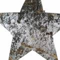 Floristik24 Estrela de coco prata 5 cm 50pcs decoração de mesa prata decoração de estrelas estrelas do advento