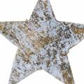 Floristik24 Estrela de coco branco cinza 5cm 50pcs Decoração de estrelas do advento