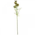 Floristik24 Cesta de jóias Cosmea verde artificial flores de verão 61cm