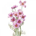 Floristik24 Cesta de joias Cosmea flores artificiais roxas verão 51cm 3 unidades