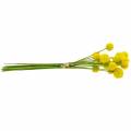 Floristik24 Baquetas Craspedia Amarelo Flor de Jardim Artificial Flores de Seda 15pcs