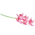 Floristik24 Orquídea Cymbidium artificial 5 flores rosa 65cm