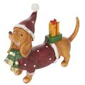 Floristik24 Estatueta decorativa de dachshund com embalagem para presente e chapéu, 18 cm