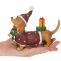 Estatueta decorativa de dachshund com embalagem para presente e chapéu, 18 cm | Floristik24.pt