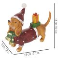 Estatueta decorativa de dachshund com embalagem para presente e chapéu, 18 cm | Floristik24.pt