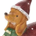 Estatueta decorativa de dachshund com embalagem para presente e chapéu, 18 cm | Floristik24.pt