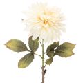 Floristik24 Flor artificial de dália para vaso, 68 cm
