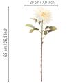 Flor artificial de dália para vaso, 68 cm | Floristik24.pt