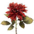 Floristik24 Flor artificial de dália com haste longa, 68 cm