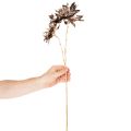 Flor artificial de dália, com haste longa e duas flores, 75 cm | Floristik24.pt