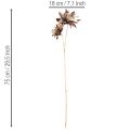 Flor artificial de dália, com haste longa e duas flores, 75 cm | Floristik24.pt